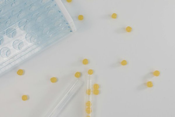 Les Pouvoirs des Huiles Essentielles : Une Solution Naturelle contre l'Insomnie